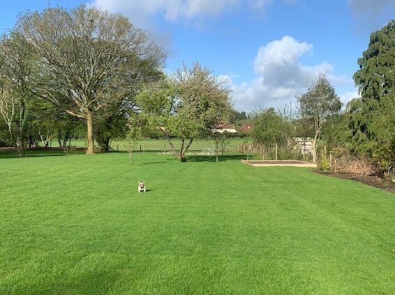 spooners turf after e1649069178564