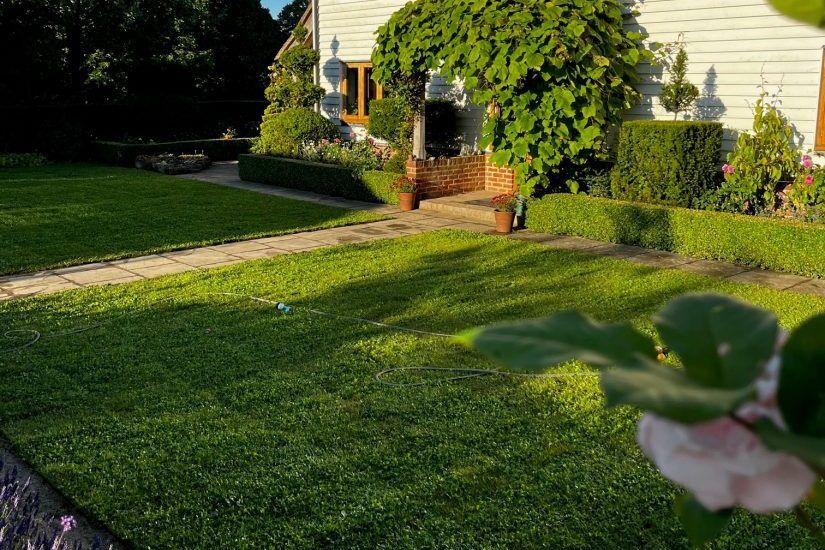 clover turf 2 e1747663734132