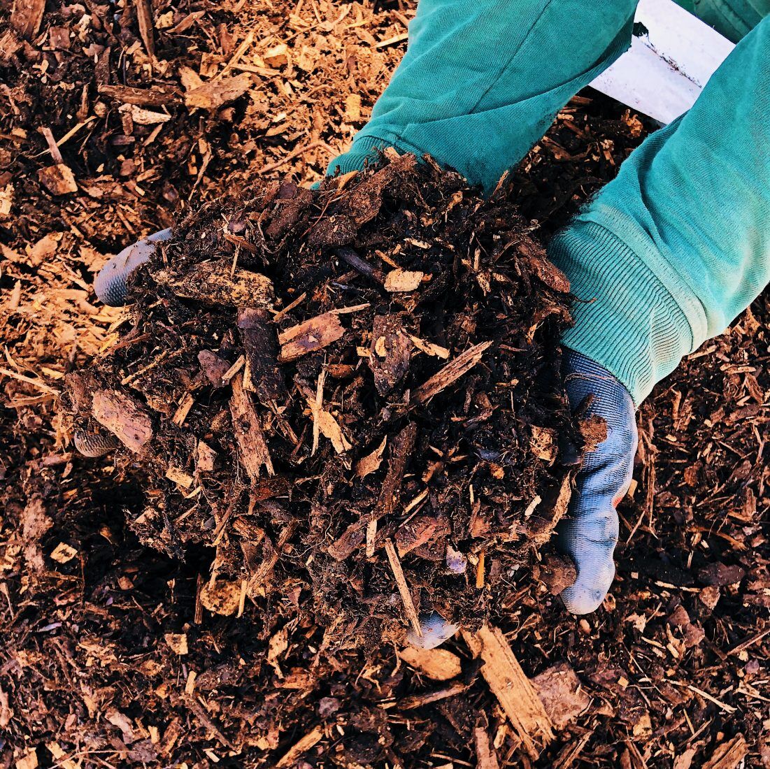 B2 Orn Bark
