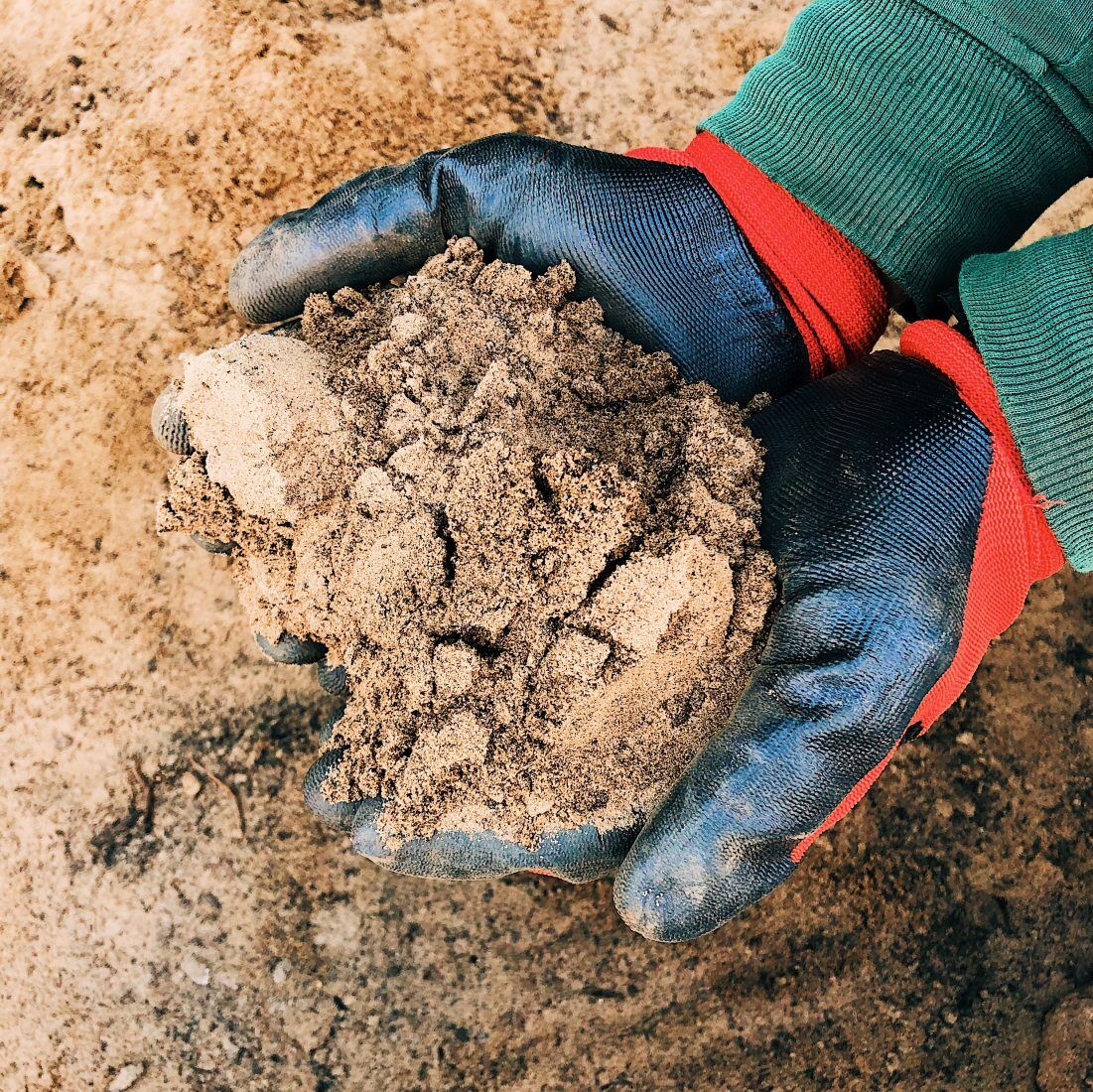 4 Top Dressing
