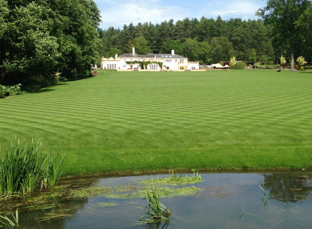 Standard Turf - 20 to 39 sqms