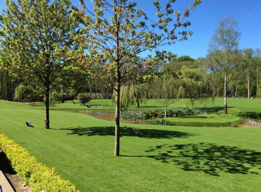 Standard Turf - 20 to 39 sqms - Image 2